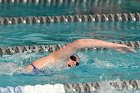 Swimming vs Babson  Wheaton College Swimming vs Babson College. - Photo By: KEITH NORDSTROM : Wheaton, Swimming, Babson